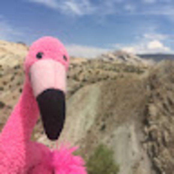 edthemagicllama
